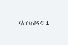 夜猫子的头像